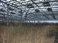 Нажмите на фотографию для увеличения